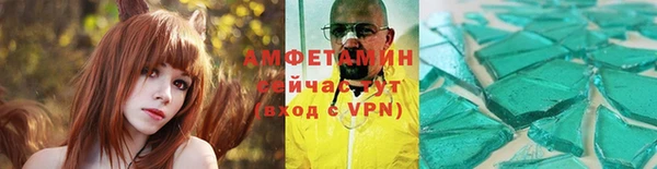 дмт Пересвет