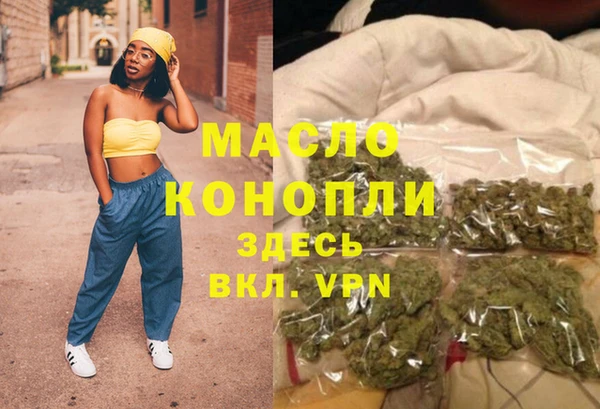 дмт Пересвет