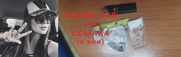 дмт Пересвет