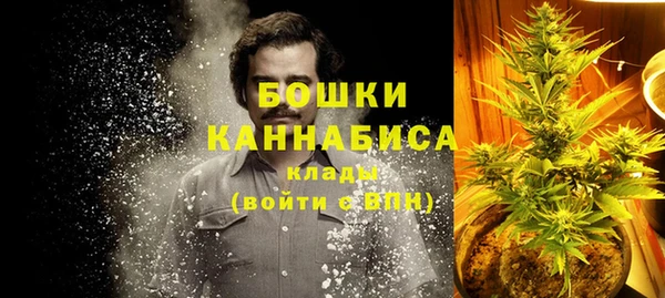 дмт Пересвет