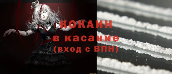 дмт Пересвет