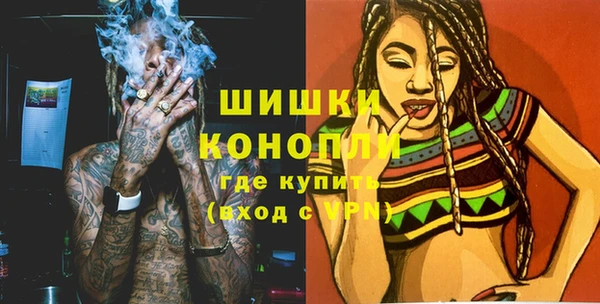 дмт Пересвет