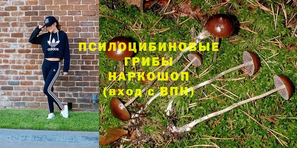 спиды Батайск