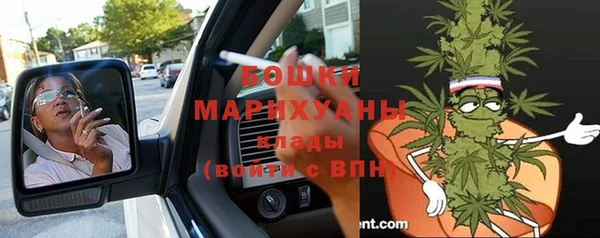 дмт Пересвет