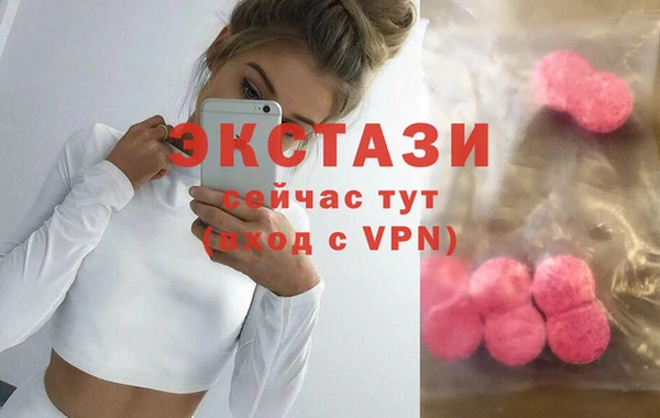 дмт Пересвет